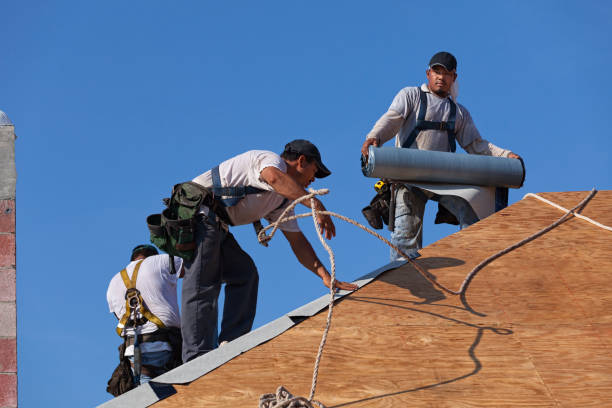 Best Emergency Roof Repair  in Bromley, KY
