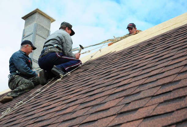 Quick and Trustworthy Emergency Roof Repair Services in Bromley, KY